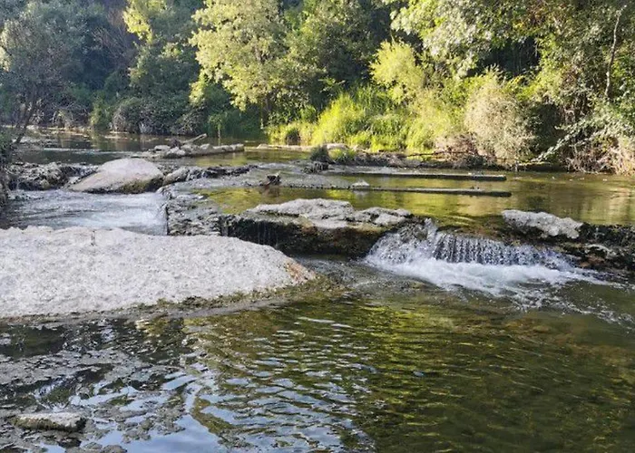 Mobil-home A Avec Terrasse - Api-1-52-258 Saint-Maime